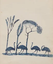 Emus